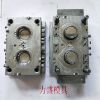 shell cover mould